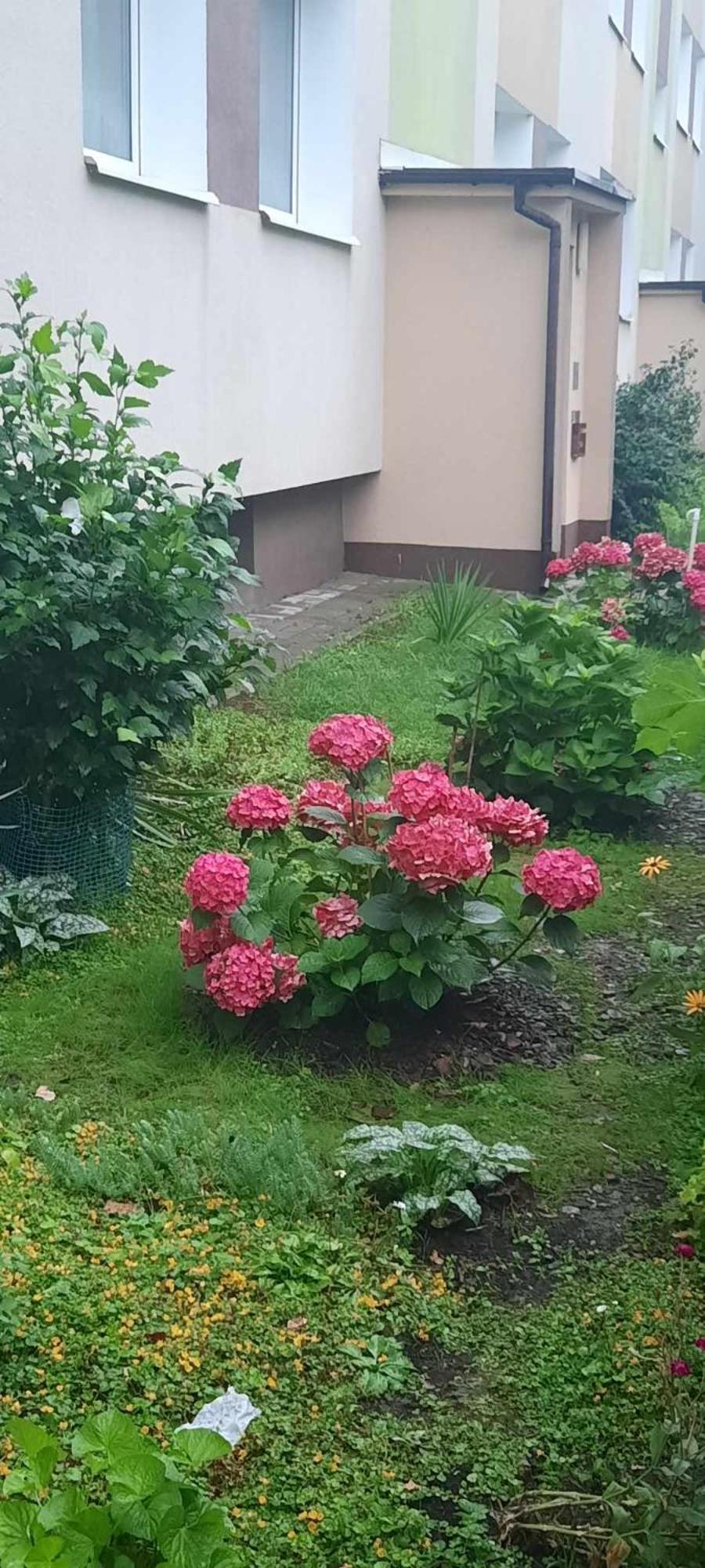 Apartament Jak W Domu Zamosc  Exterior photo